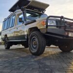 DIglad safaris
