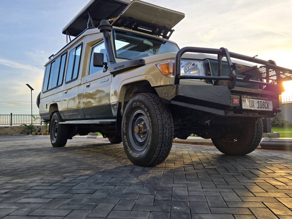 DIglad safaris